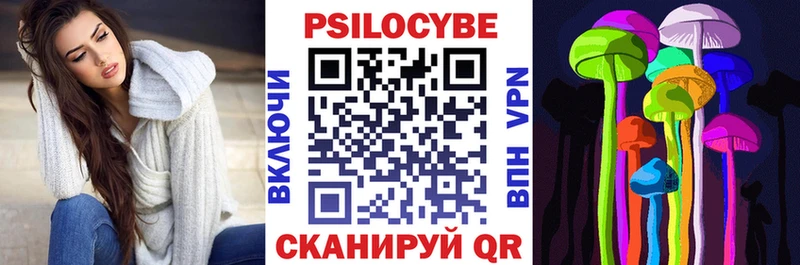 закладка  Волгоград  Галлюциногенные грибы Magic Shrooms 