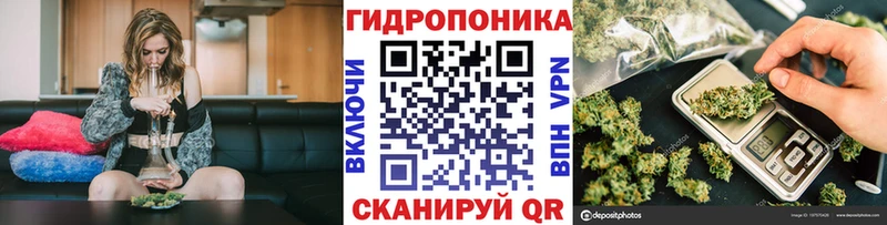 Бошки марихуана White Widow  Волгоград 